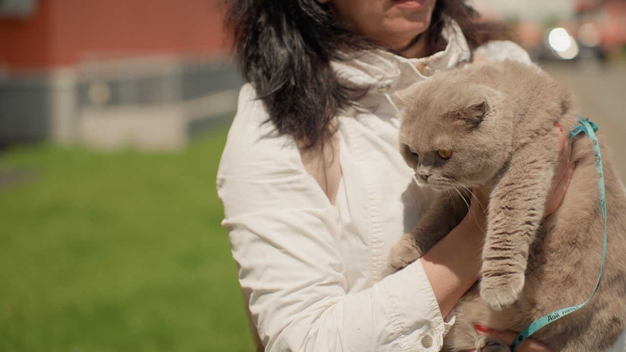Caucasian Woman Walking Cat Outdoors, Caregiver Leads Harnessed Grey Feline Along Sunlit Sidewalk Near Playground, Backpack And Jacket Visible, Alert Expression, Protective Bond, Urban Park Stroll