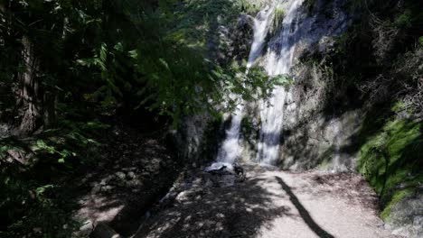 Cascada-En-El-Bosque-Verde-En-California