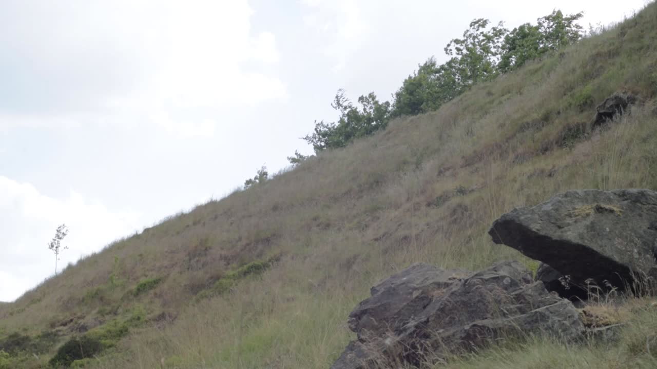 요크셔 무어랜드 의 거친 바위 풍경