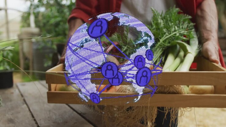 Giardiniere che posiziona una cassa di verdure sul tavolo, generando un globo trasparente che collega i prodotti tramite tecnologia