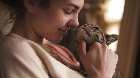 una niña joven y hermosa está jugando con un gato gris y suave. se rasca las orejas, las acaricia. feliz.