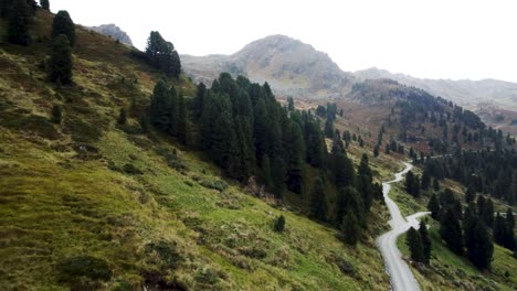 Camino-Sinuoso-A-Través-De-Un-Paisaje-Boscoso-Montañoso