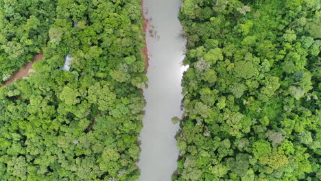 un exquisito video aéreo que muestra el exuberante bosque atlántico y un río cuyas aguas cristalinas reflejan el cielo en una impresionante vista aérea