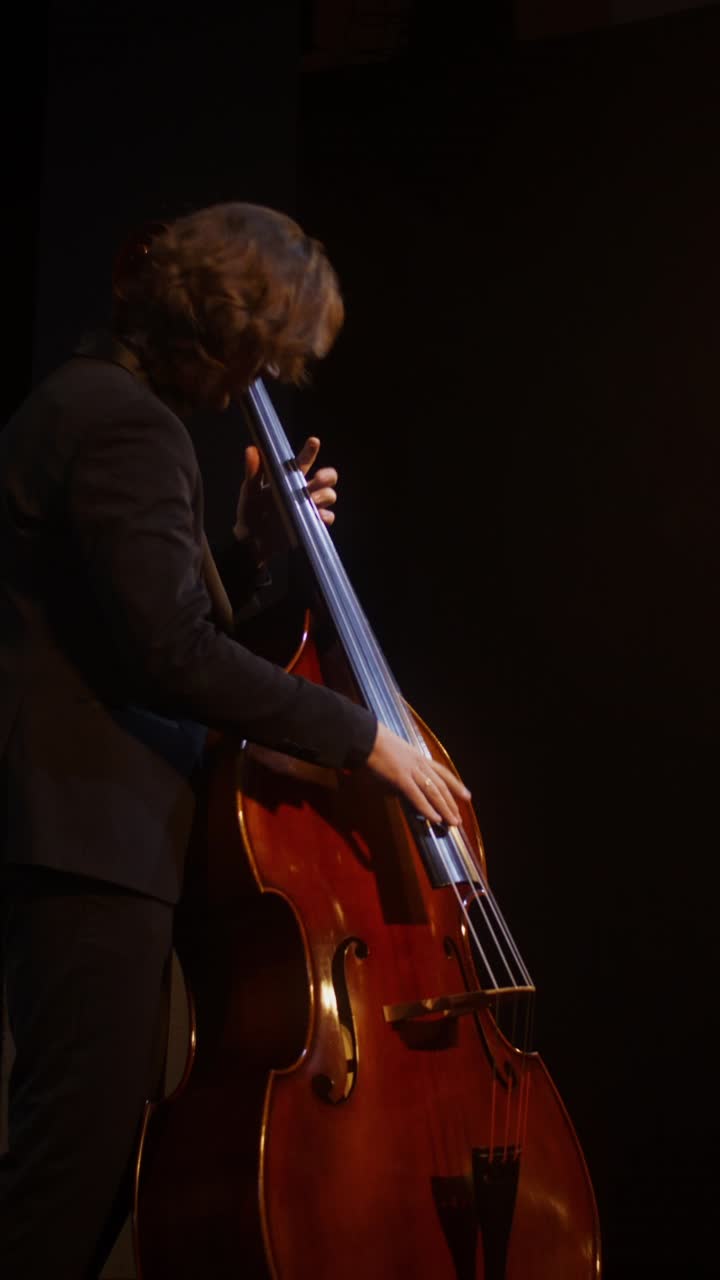 Contrabbassista in concerto