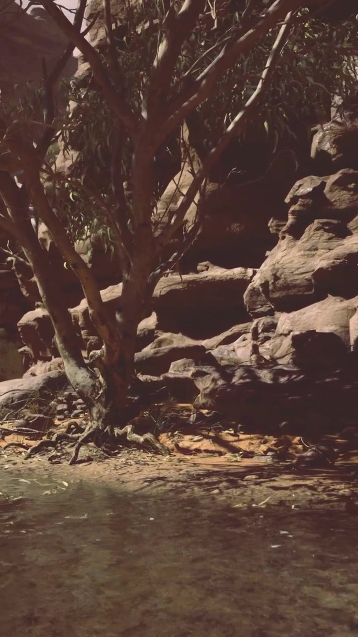 Albero vicino all'acqua, in una zona rocciosa, di giorno con dintorni limpidi.
