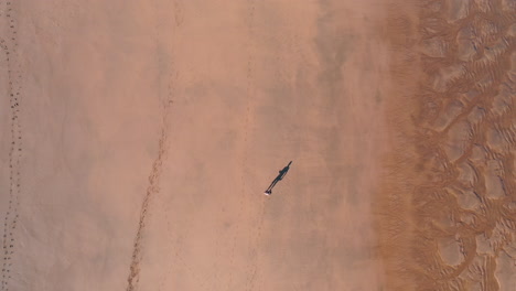 top-down aerial drone of a person walking along a beach during low tide casting a long shadow