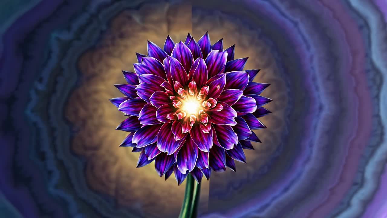 A vibrant, close-up video of a purple flower with a glowing center, set against a swirling, colorful