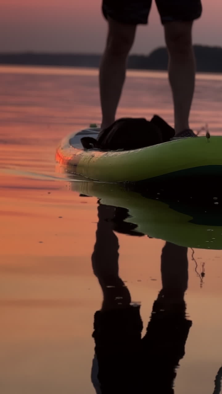 Male silhouette reflecting in the river. Lower part of a male legs standing on the sup board on the river at sunset. Vertical video