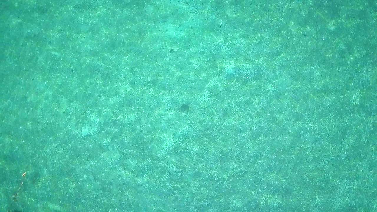 말레이시아의 맑은 물과 거북이 위의 공중 비행, 장거리 촬영 새의 눈 관점이 오름차순으로 느린 동작으로 회전