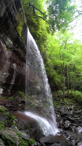 rainbow falls in great smoky mountains national park, vertical full view of falls as water cascades down onto rocks in forest