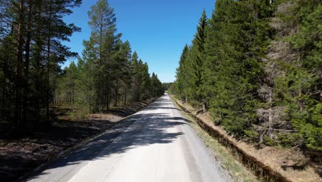 Tracking-shot-through-the-forest