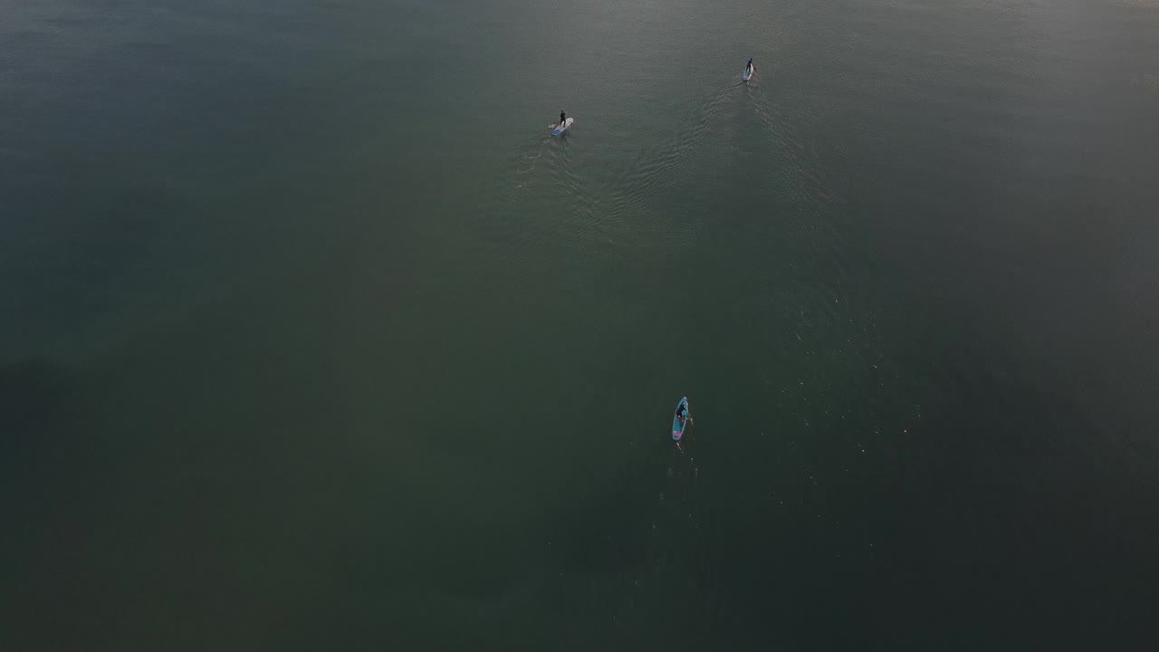 바다 먼 공중 샷에서 노를 젓는 스탠드 업 패들 보더
