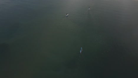 Standup-Paddleboarders-Remando-En-El-Mar-Toma-Aérea-Lejana