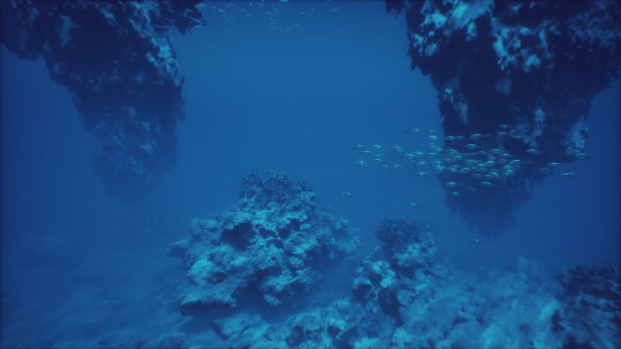 impresionante escena submarina con un banco de peces y un arrecife de coral