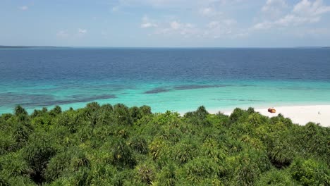 Aerial-dolly-above-tropical-palm-tree-forest-over-patawan-island-beach,-balabac