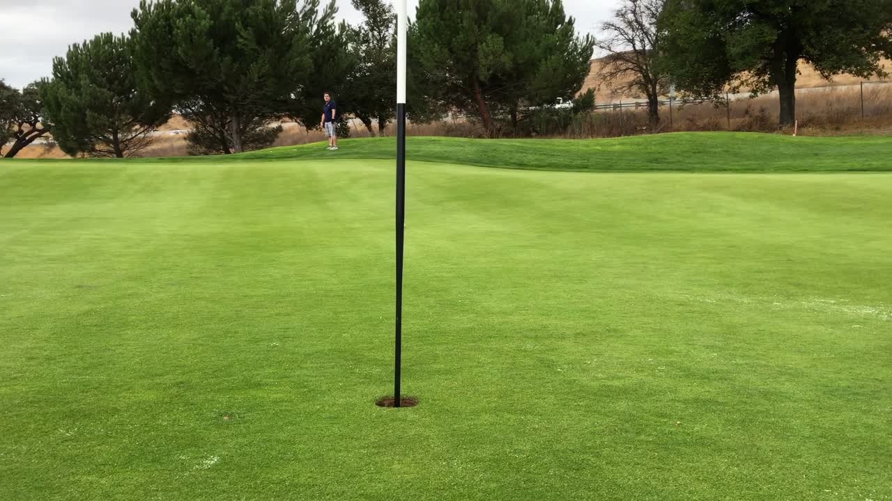 A golf ball rolls towards the hole on a lush green course, surrounded by trees under overcast skies
