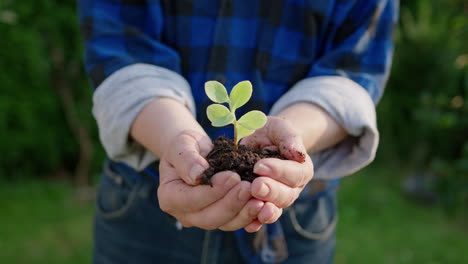 Caucasian-hands-hold-up-small-green-plant-in-soil,-frontal-close-up