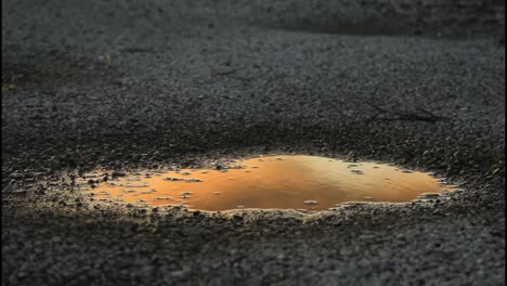 sunset reflection in a puddle