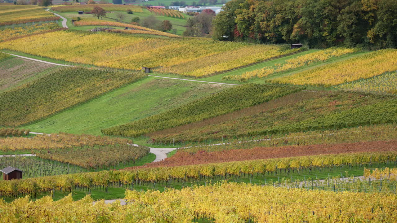 Pan across the colorful autumnal wine country of southern Germany. Various shades of yellow, red, and green adorn the hills covered with grapevines stretching to the horizon