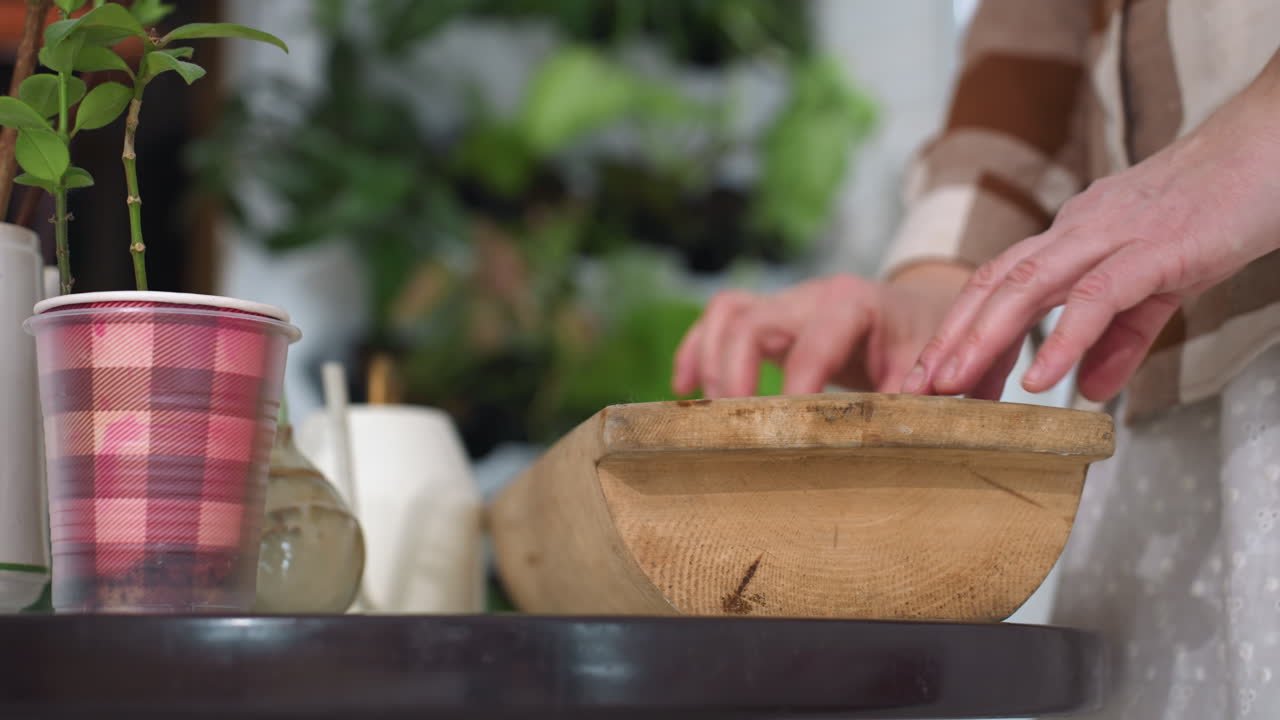 Lady hand gently smoothing wooden plate on glass table near plaid pot plant and white ceramics while adjusting surface setting in cozy modern living space with light curtains indoor greenery view