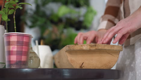lady hand gently smoothing wooden plate on glass table near plaid pot plant and white ceramics while adjusting surface setting in cozy modern living space with light curtains indoor greenery view