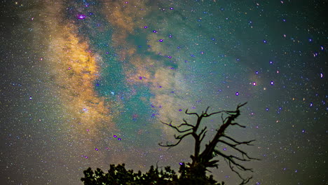 die milchstraße schmückt die silhouetten der natur - timelapse