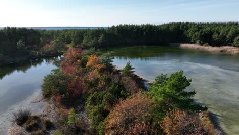 beautiful nature in autumn colors by lake jaagarahu, which is a former limestone quarry, in saaremaa. estonia.