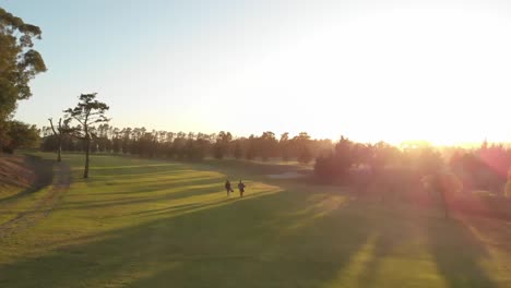 two diverse male golf players walking at golf course on sunny day