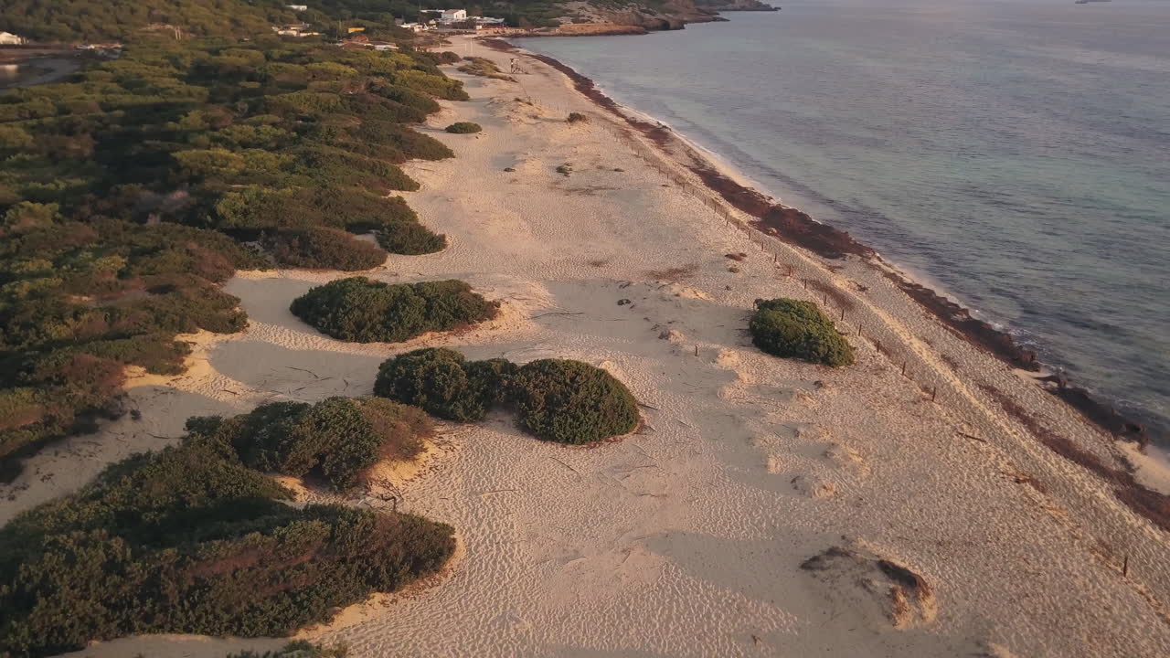Vista aerea di dune di sabbia e fitta vegetazione su una spiaggia tropicale deserta.