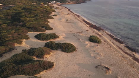 Vista-Aérea-De-Dunas-De-Arena-Y-Espesa-Vegetación-En-Una-Playa-Tropical-Vacía