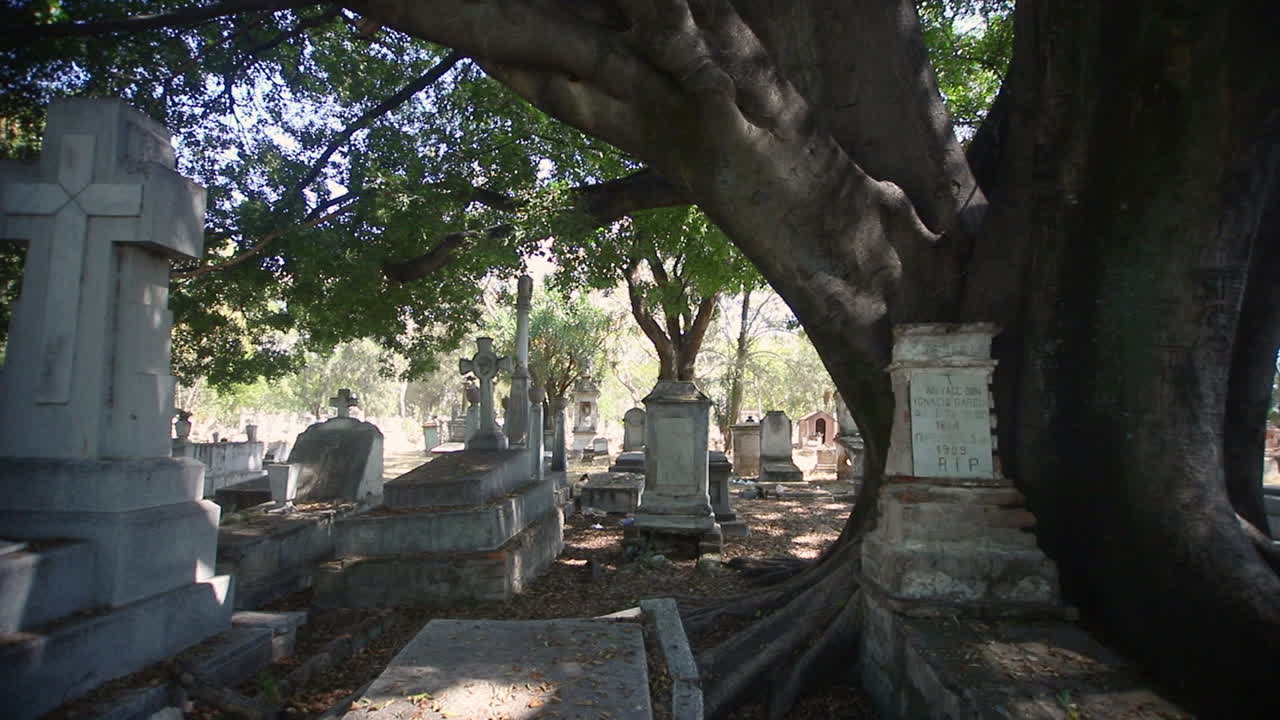 Vista cinematografica di un cimitero storico in Messico, caratterizzato da imponenti radici di alberi che circondano antiche tombe, evocando la tradizione del Giorno dei Morti, il ricordo degli antenati e il patrimonio culturale in un ambiente sacro.