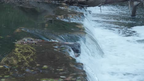 Aguas-Tranquilas-Del-Arroyo-Wissahickon,-Cascada