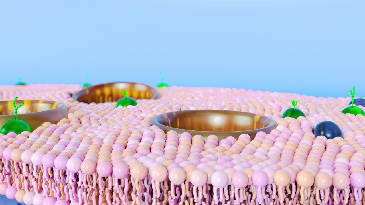 schematic of slowly moving lipid bilayer, 3d animation of membrane molecules on blue background