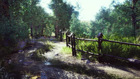 peaceful forest path with wooden fence