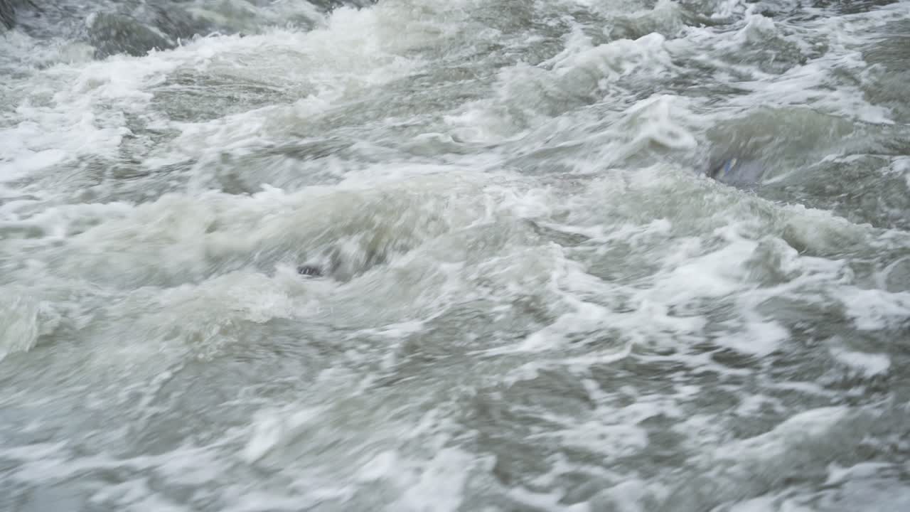 Closeup of polluted river water surface, Untreated sewage and industrial wastewater in Godavari River, Nashik, Maharashtra