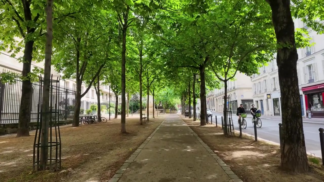 Vidvinkel statisk optagelse af en frodig grøn træallé i det urbane Paris.
