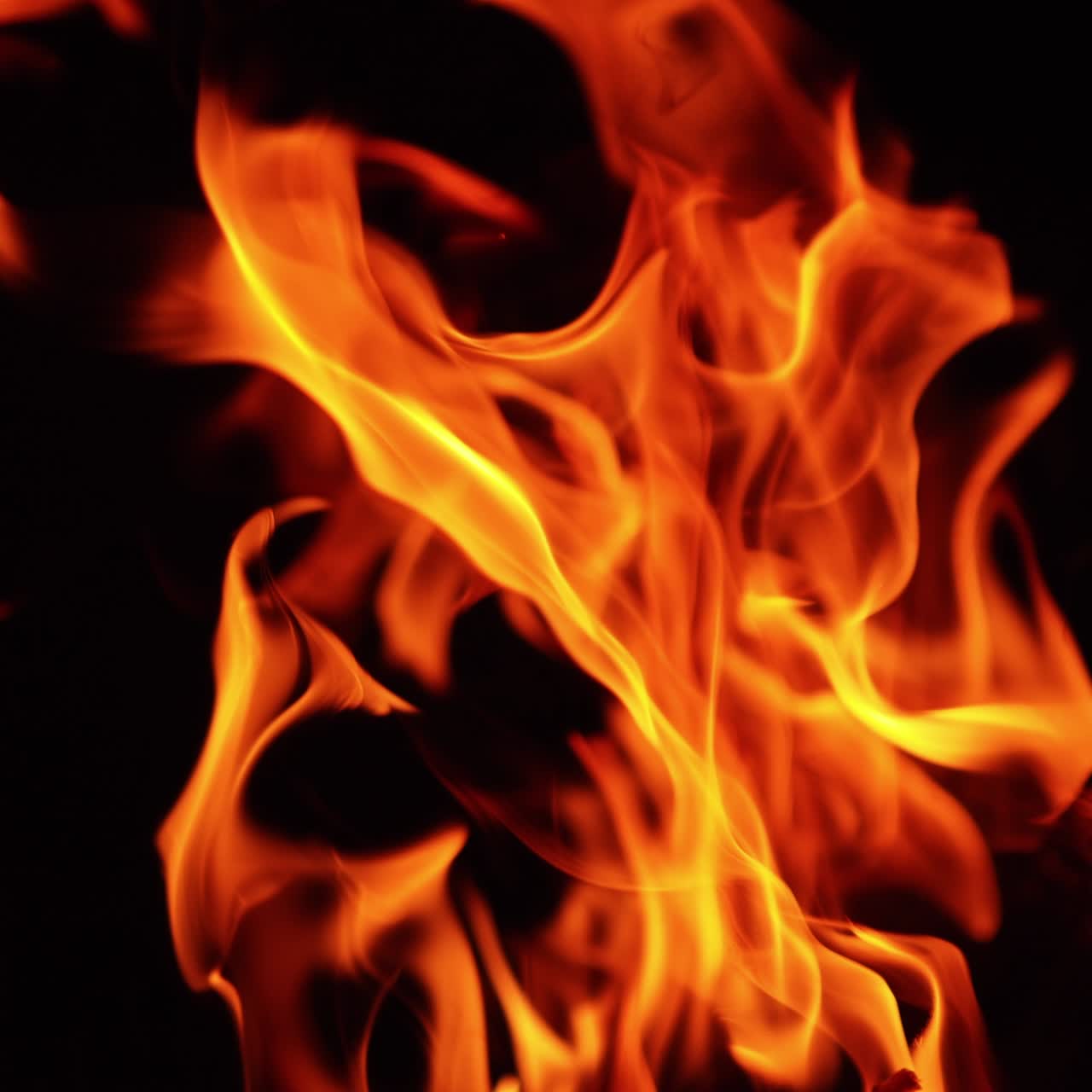Tree branches burning in the big bonfire. Campfire isolated on the black backdrop