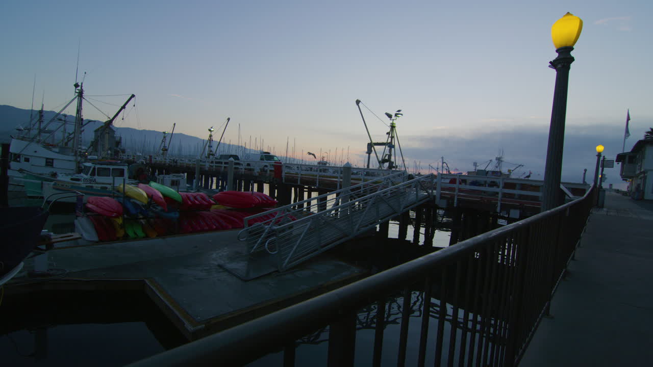 чайка поднимается и летит через гавань, мимо уличных фонарей на рассвете, с лодками на заднем плане