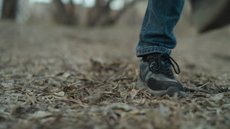 close-up of a person's feet walking on a leaf-covered forest path, emphasizing the movement and texture of the ground, the person is wearing black sneakers and blue jeans