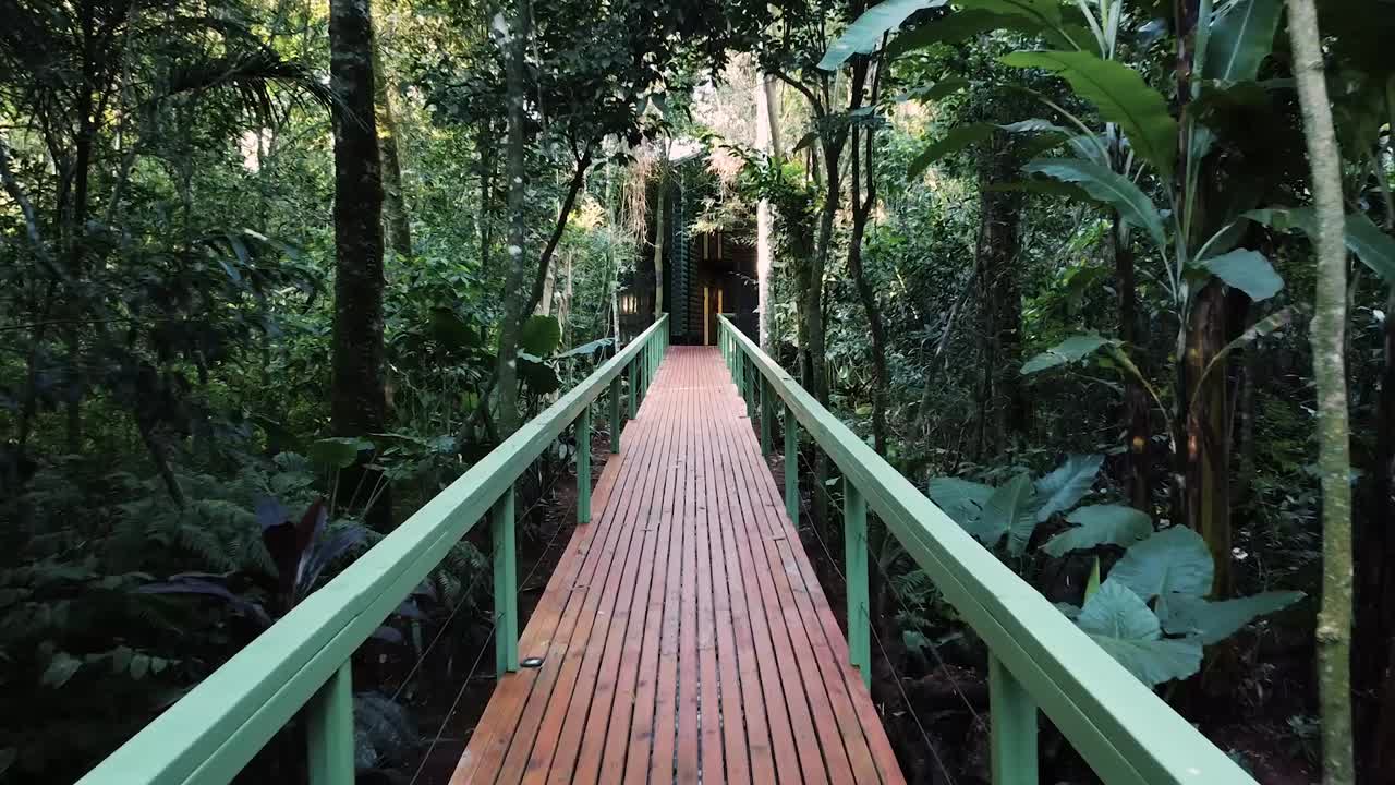 POV walking on a wooden bridge through tropical green jungle, ecotourism travel