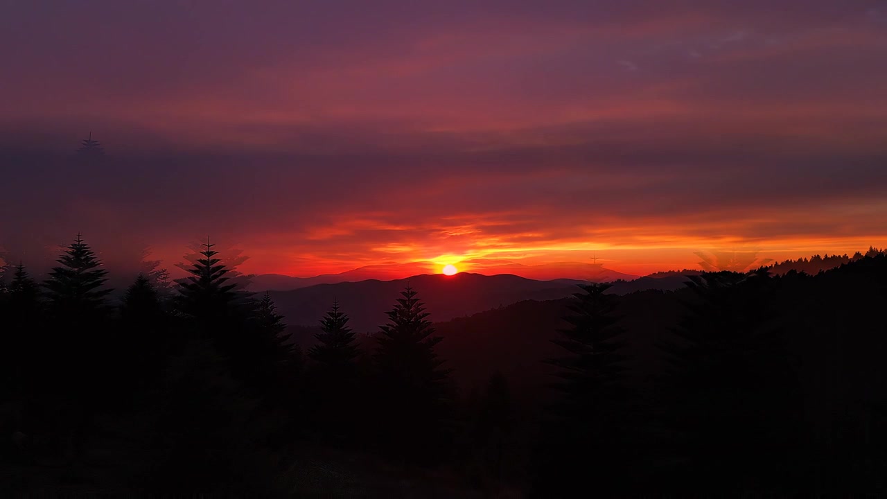Vibrant sunset silhouette of pine trees over mountain range