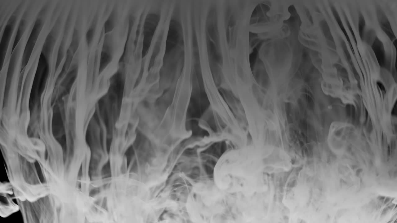 떨어지는 액체 연기의 큰 폭발은 우유 모양의 안개로 용해되기 전에 프레임을 채니다.