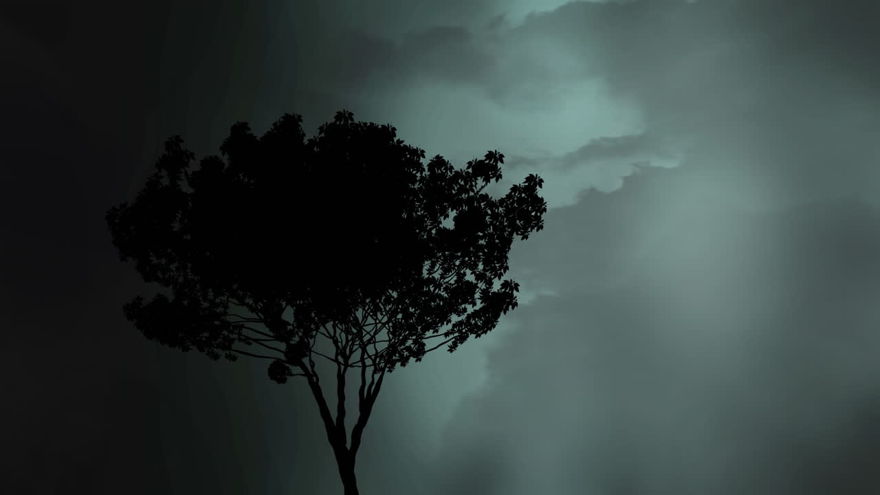 Silhouette of a tree and lightning