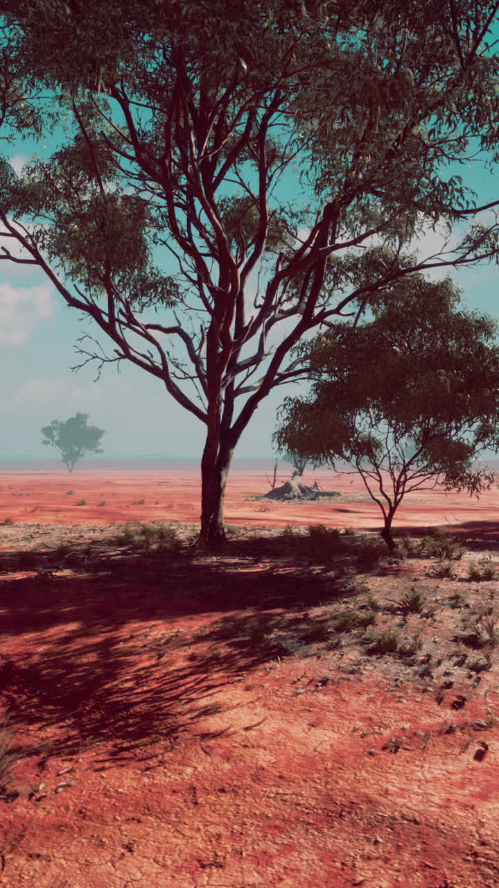 나무 들 이 있는 사막 풍경 의 경치 가 아름답다