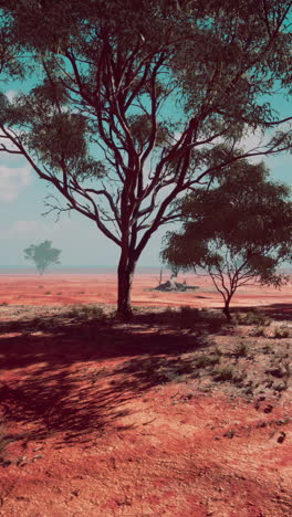 una vista panorámica de un paisaje desértico con árboles