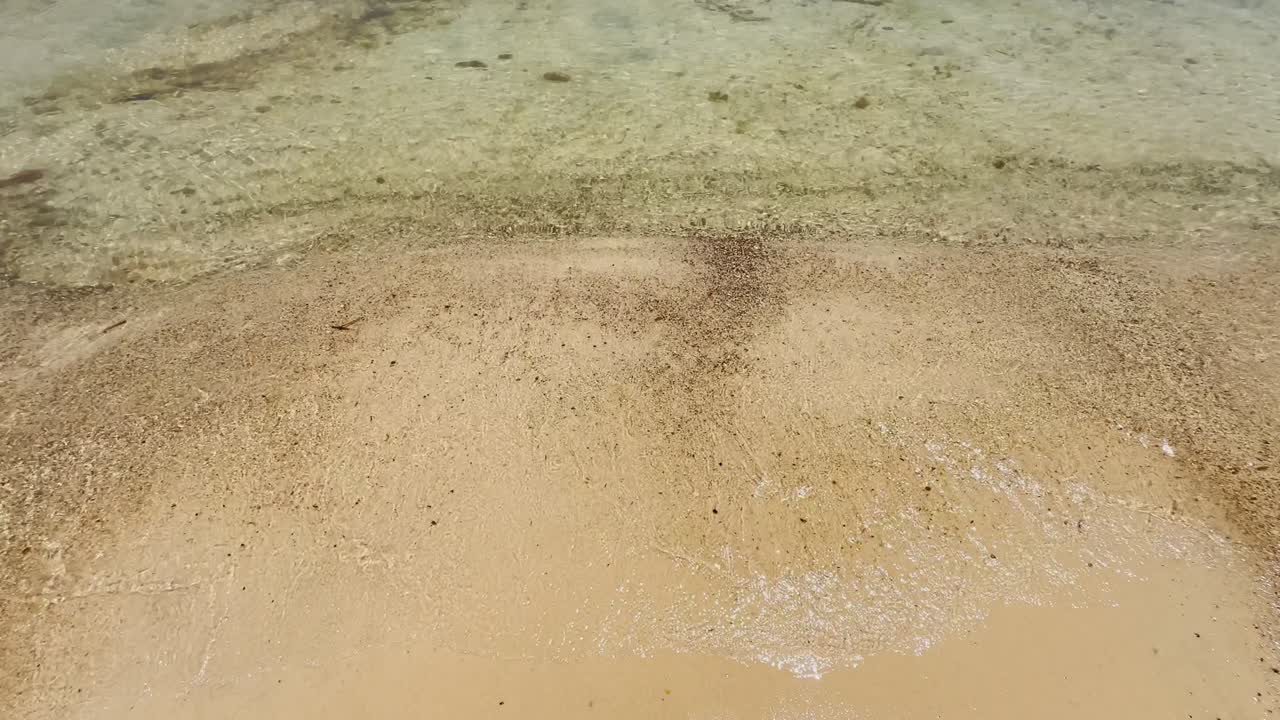 해변과 파도에서 은 날