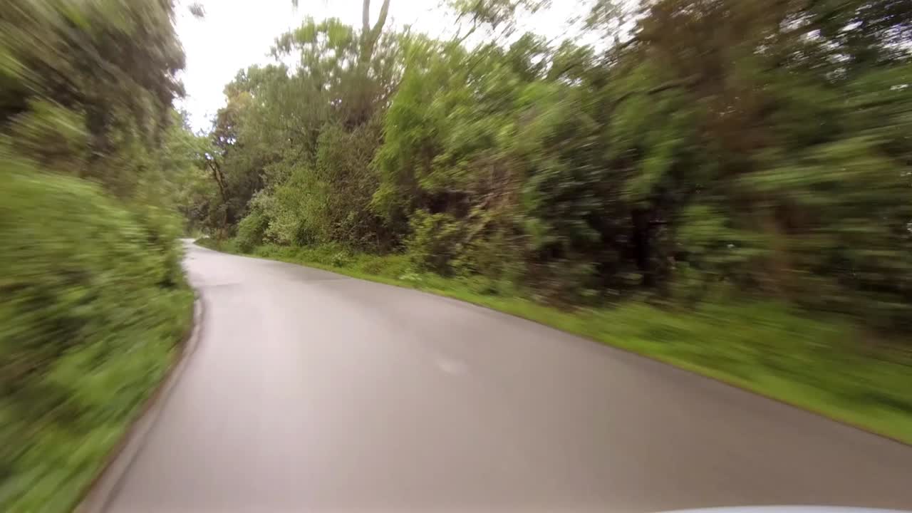 conduciendo a través de un bosque camino a hoggsback, sudáfrica