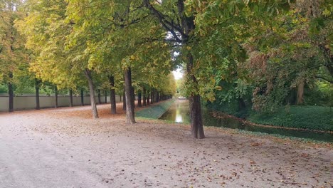 static shot of small stream next to walk path in autumn season