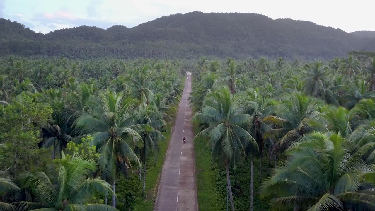 fotografía aérea de un scooter conduciendo en una carretera bordeada de palmeras con una colina verde en el horizonte por la tarde en siargao, filipinas