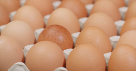 eggs extruder full of fresh eggs on black background 3